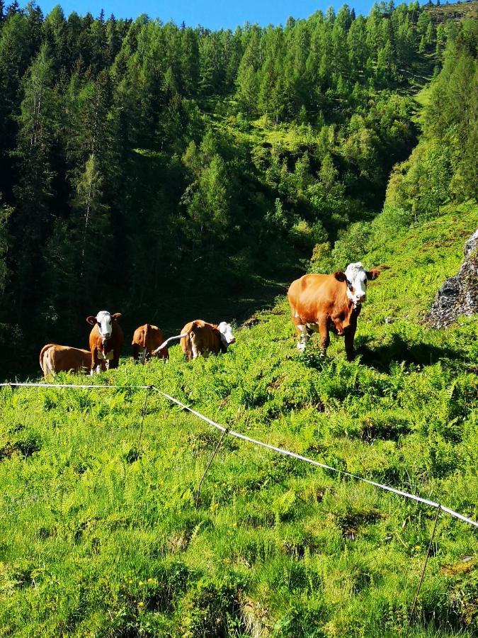 Ferienwohnung Bauernhof Obererlach Bramberg am Wildkogel Zewnętrze zdjęcie