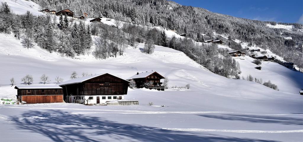 Ferienwohnung Bauernhof Obererlach Bramberg am Wildkogel Zewnętrze zdjęcie